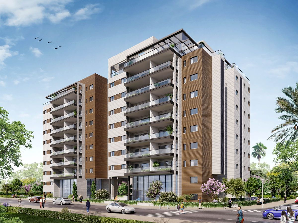 חבצלת השרון - לילה